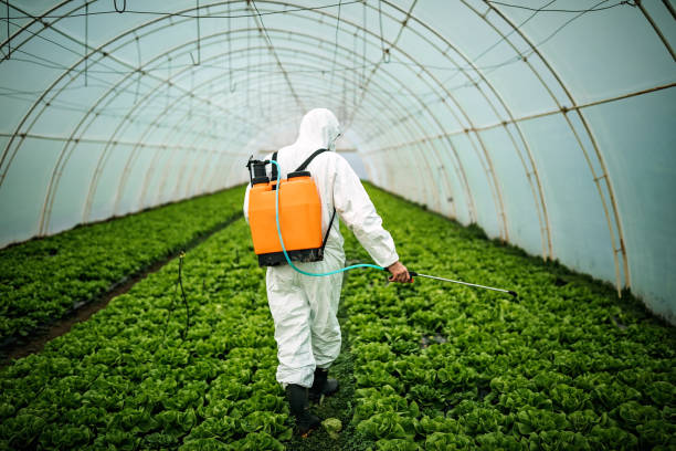 Reliable Miami Beach, FL Pest Control Solutions